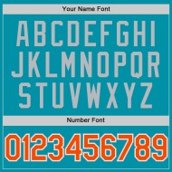 Baseball Orange-Grau Teal Jersey Throwback Authentic Custom