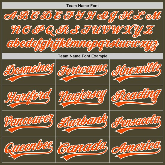 Olivgrünes authentisches bis benutzerdefiniertes orange-weißes Service Throwback Salute Jersey Baseball
