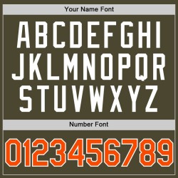 Olivgrünes authentisches bis benutzerdefiniertes orange-weißes Service Throwback Salute Jersey Baseball